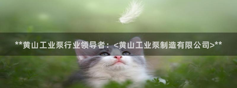 彩神8是正规平台吗是正品吗：**黄山工业泵行业领导者：<黄山工业泵制造有限公司>**