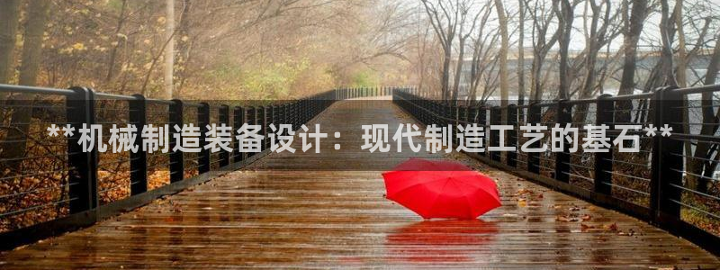 彩神赢的钱是哪里来的：**机械制造装备设计：现代制造工艺的基石**