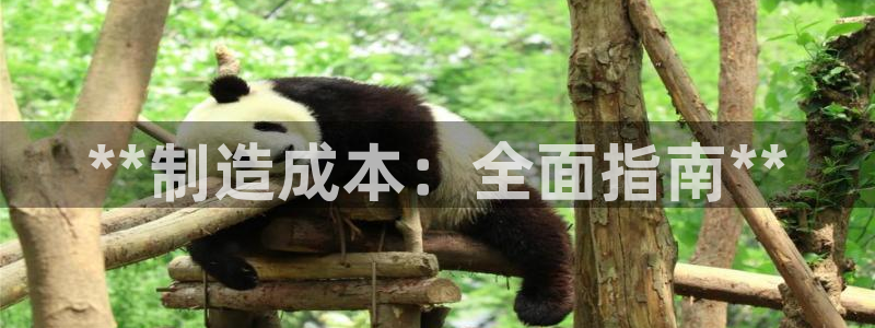 彩神V集团有限公司：**制造成本：全面指南**