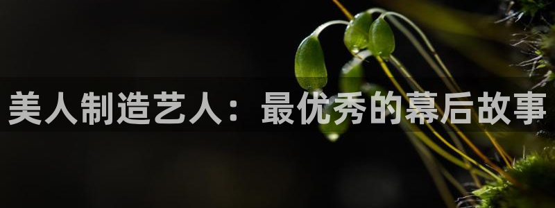 天天彩神welcome