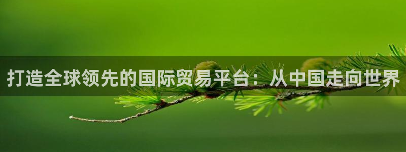 彩神8官网500：打造全球领先的国际贸易平台：从中国走向世界