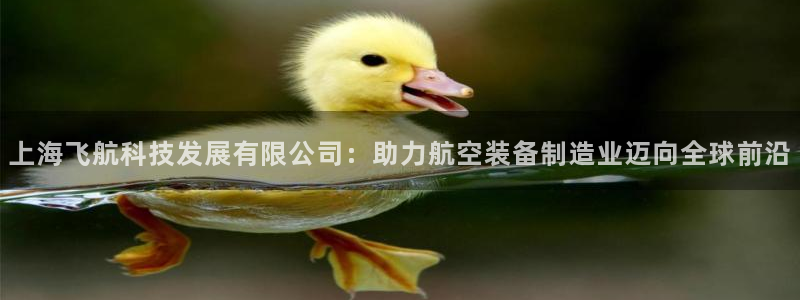 彩神8是正规平台吗知乎