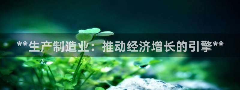 彩神赢钱了吗：**生产制造业：推动经济增长的引擎**