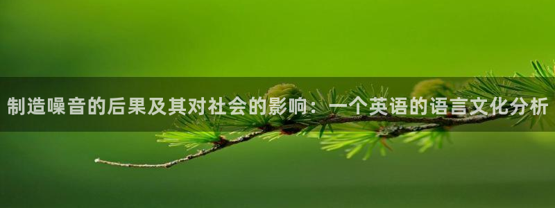 彩神大发黑平台：制造噪音的后果及其对社会的影响：一个英语的语言文化分析