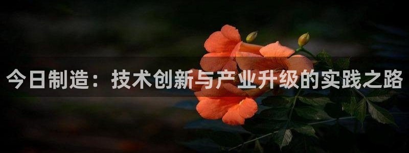 彩神大发cp
