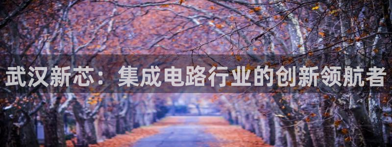 彩神8是正规平台吗安全吗