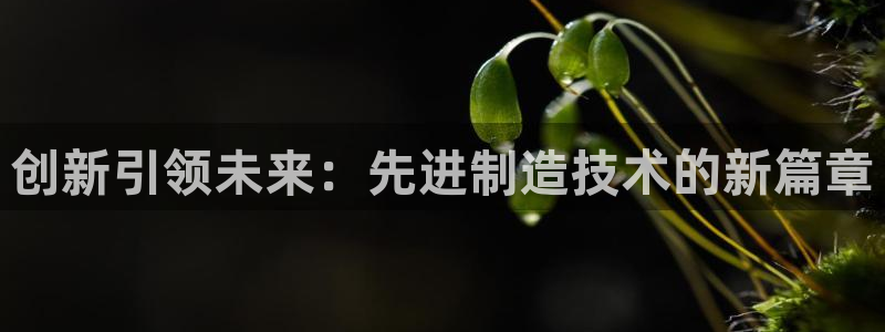 彩神viii下载安卓：创新引领未来：先进制造技术的新篇章