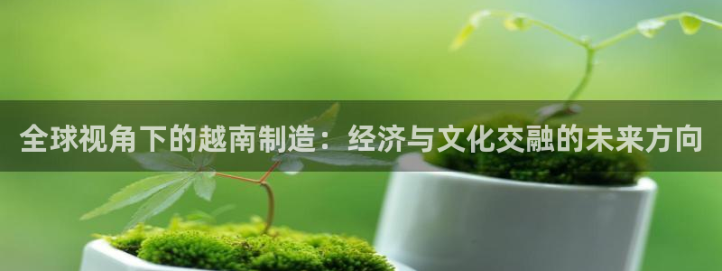 彩神ll能赚钱吗：全球视角下的越南制造：经济与文化交融的未来方向