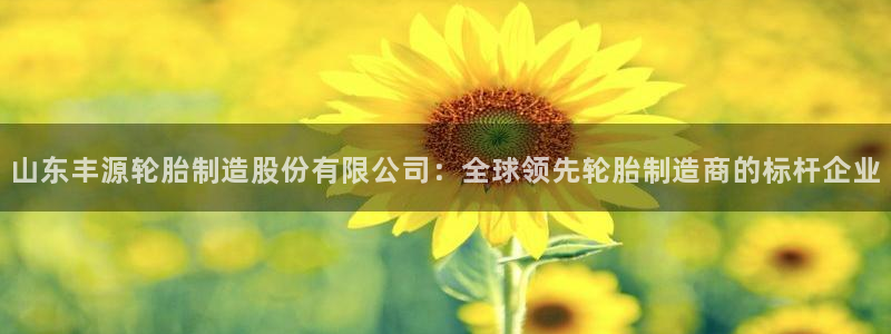 彩神vii购彩l心：山东丰源轮胎制造股份有限公司：全球领先轮胎制造商的标杆企业