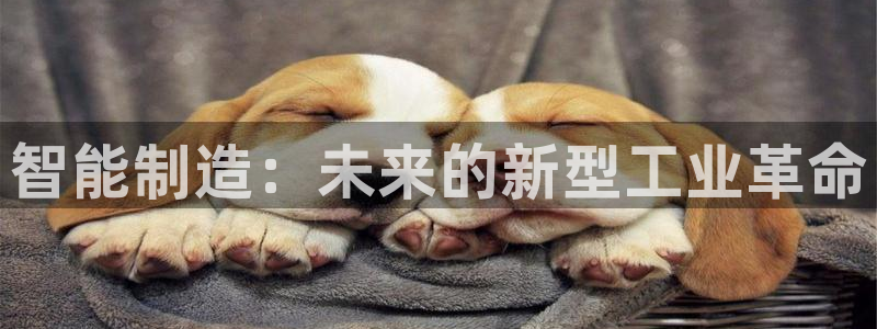 彩神平台：智能制造：未来的新型工业革命