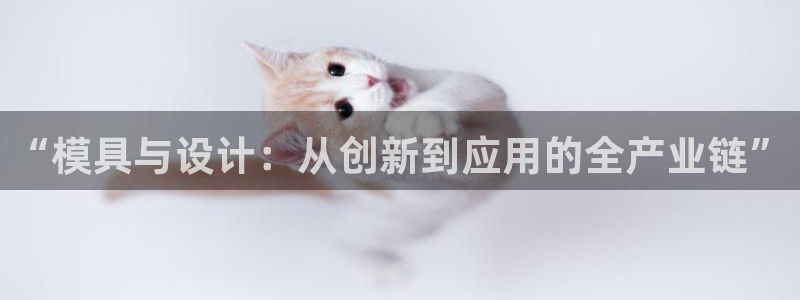 彩神app能挣到钱吗