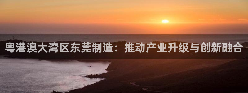 彩神通官方网：粤港澳大湾区东莞制造：推动产业升级与创新融合