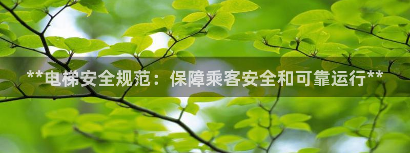 彩神ⅴll是什么样平台：**电梯安全规范：保障乘客安全和可靠运行**
