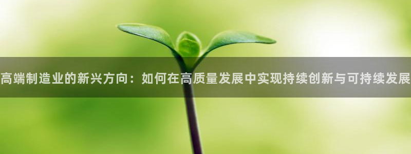 彩神x平台靠什么盈利：高端制造业的新兴方向：如何在高质量发展