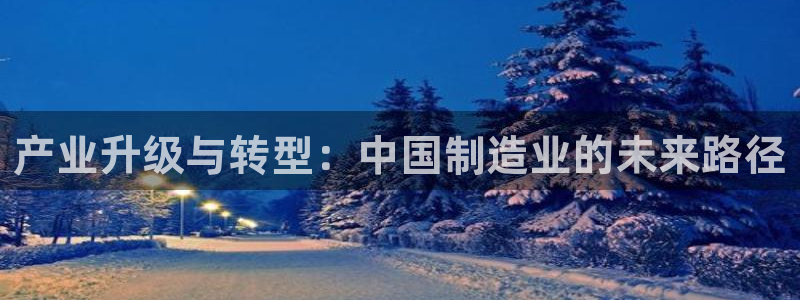 彩神v8是真的挣钱吗：产业升级与转型：中国制造业的未来路径