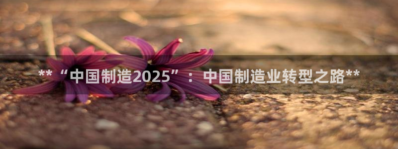 彩神v8是一个什么平台啊：**“中国制造2025”：中国制造业转型之路**