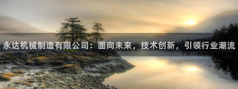 彩神viii官网：永达机械制造有限公司：面向未来，技术创新，引领行业潮流