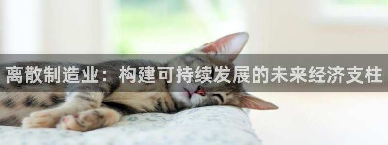 彩神争霸官方下载：离散制造业：构建可持续发展的未来经济支柱