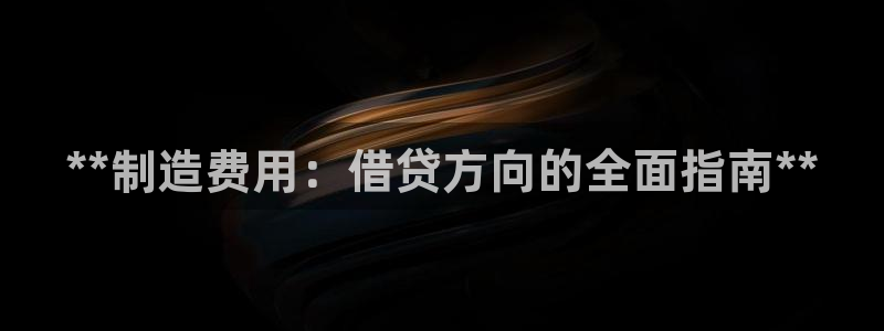 新版彩神v8登录不了：**制造费用：借贷方向的全面指南**