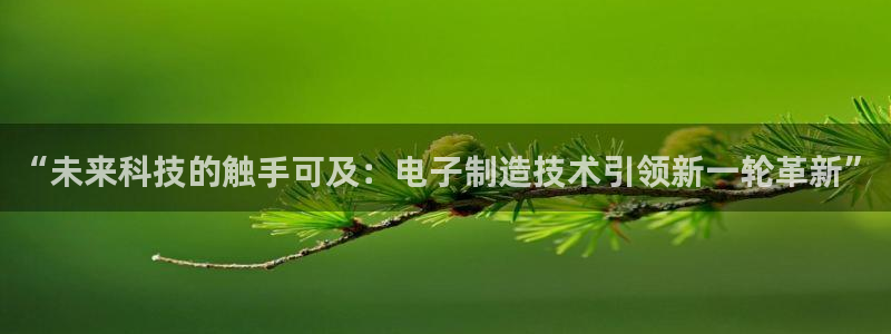 彩神官方网站登录是多少：“未来科技的触手可及：电子制造技术引领新一轮革新”