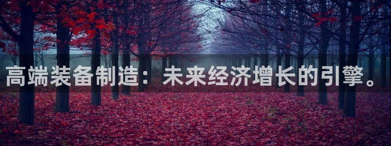 彩神vll首页企业文化：高端装备制造：未来经济增长的引擎。