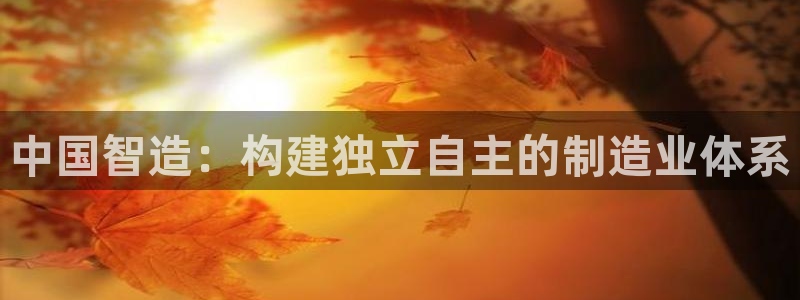 彩神v8官网版：中国智造：构建独立自主的制造业体系