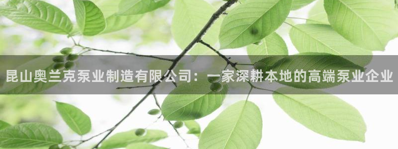 彩神v破解版：昆山奥兰克泵业制造有限公司：一家深耕本地的高端泵业企业