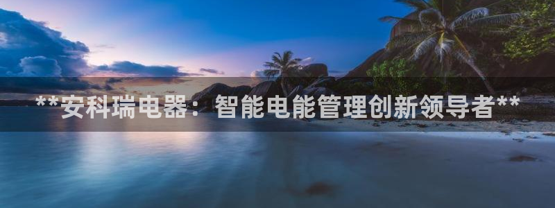 彩神赢的钱是哪里来的：**安科瑞电器：智能电能管理创新领导者**