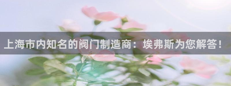 彩神vlll(中国)百度百科：上海市内知名的阀门制造商：埃弗斯为您解答！