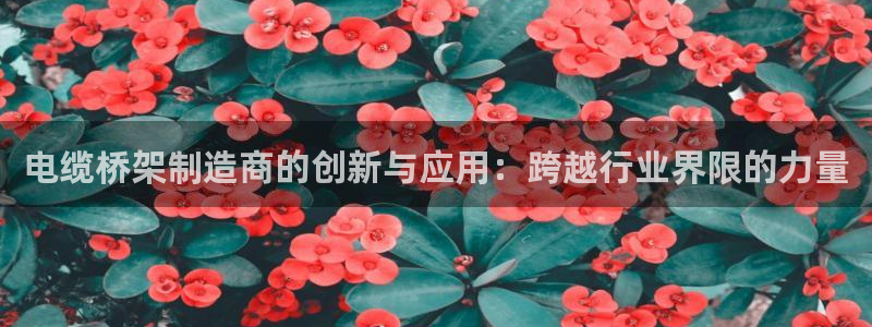 彩神v8iii：电缆桥架制造商的创新与应用：跨越行业界限的力量