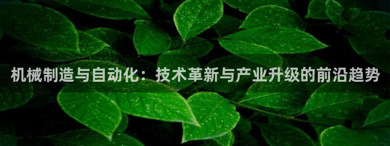 彩神的邀请码是多少：机械制造与自动化：技术革新与产业升级的前沿趋势