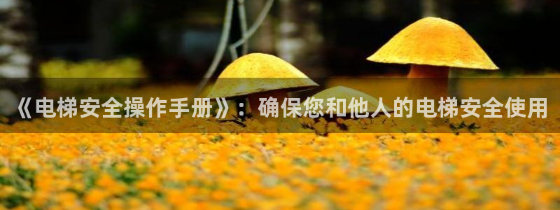 彩神平台注册登录：《电梯安全操作手册》：确保您和他人的电梯安全使用