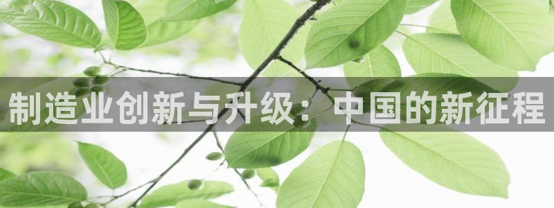 彩神v网赌软件下载：制造业创新与升级：中国的新征程