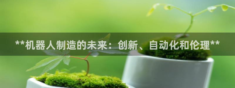 彩神v8手机客户端：**机器人制造的未来：创新、自动化和伦理