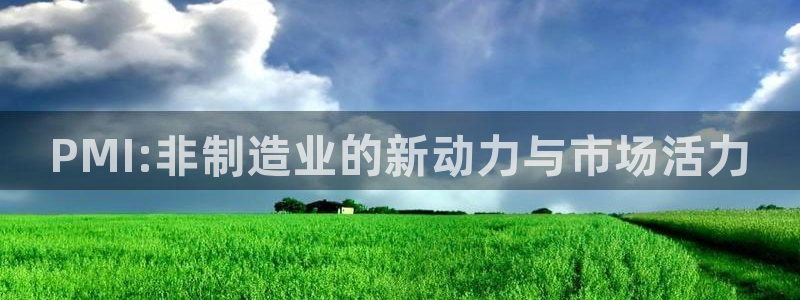 彩神天下专家专栏：PMI:非制造业的新动力与市场活力