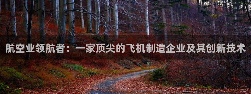 彩神vll官网-最新版app下载：航空业领航者：一家顶尖的飞机制造企业及其创新技术