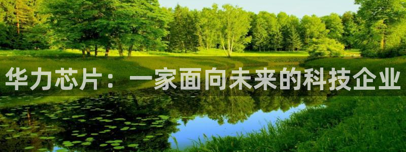 彩神是怎样一个平台：华力芯片：一家面向未来的科技企业